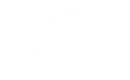 Apple Apple
